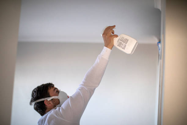 Best Black Mold Removal  in Idyllwild Pine Cove, CA
