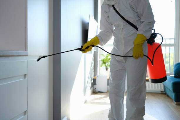Best Mold Testing  in Idyllwild Pine Cove, CA